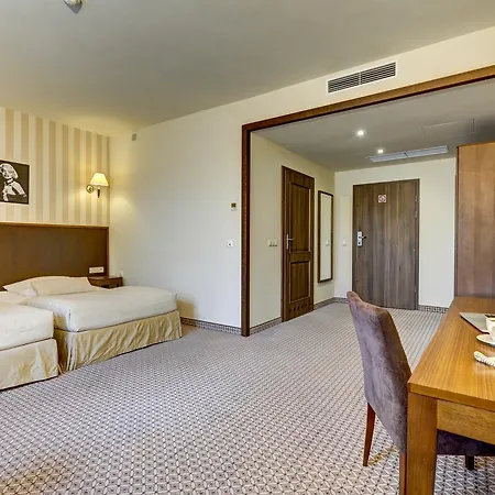 Hotel Afrodyta Business & 4*