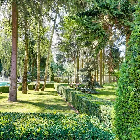 Afrodyta Business & Radziejowice