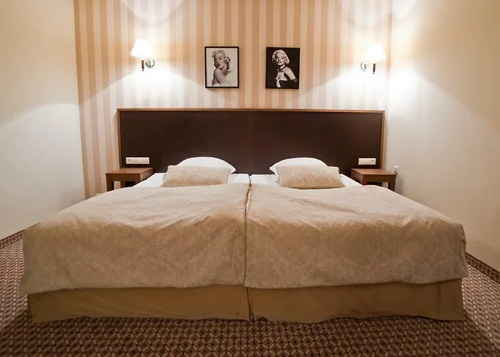 Hotel Afrodyta Business & Radziejowice